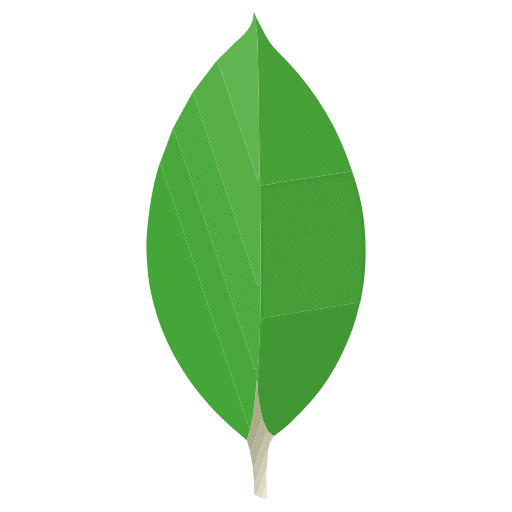 MongoDB Startups